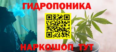 PSILOCYBIN Лесосибирск